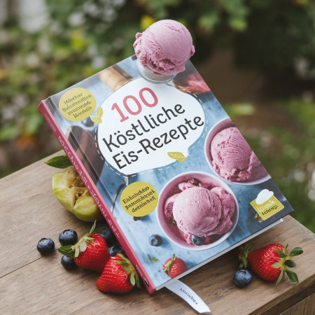 100 Eiscreme Rezepte