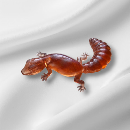 Aufsteller - Eidechse 